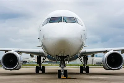 Illustration chins - Image 1