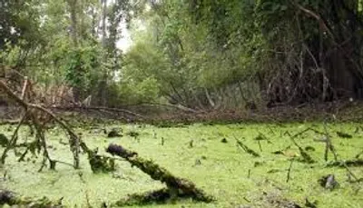 Illustration flow - Image 2