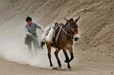 Hình ảnh minh họa gees - Ảnh 1