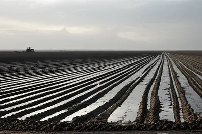 Illustration trenched - Image 1