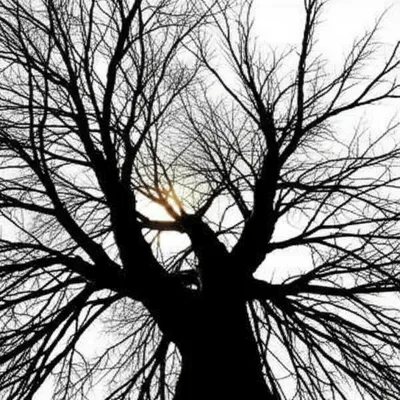 Illustration manifold - Image 1