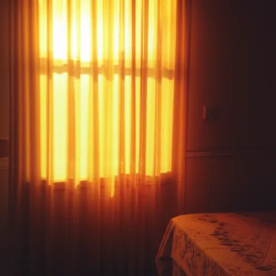 Illustration dims - Image 1