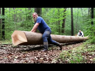 Illustration sniped - Image 1