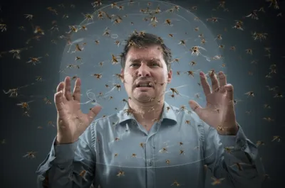 Illustration repellent