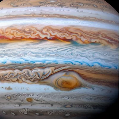 Illustration festoon - Image 1