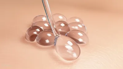 Illustration exocrine - Image 1