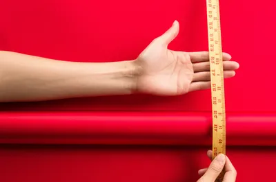 Illustration chis - Image 1