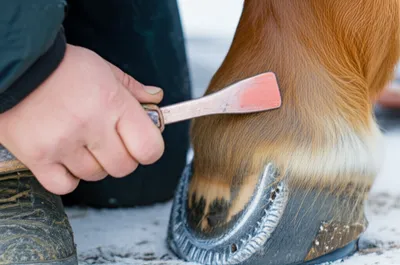 Illustration roughing - Image 1