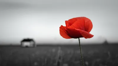 Illustration accentuate - Image 1