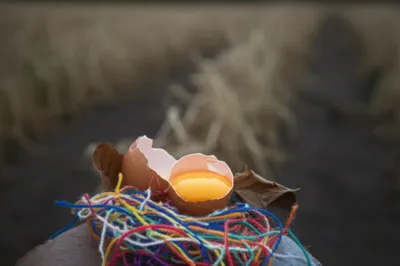 Illustration addle - Image 1