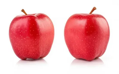 Illustration alike - Image 1