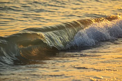 Illustration flows - Image 1