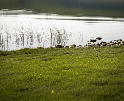 Illustration marge - Image 1