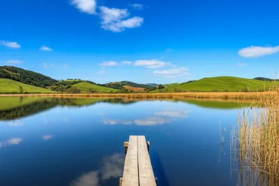 Illustration mar - Image 1