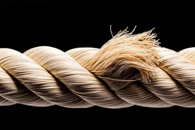 Illustration cords - Image 1