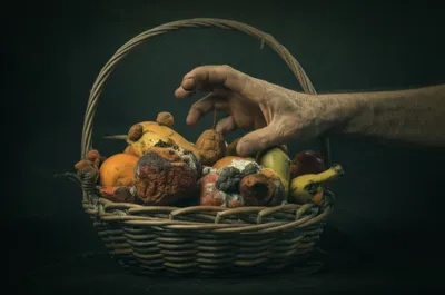 Illustration crabbed - Image 1