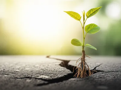 Illustration persistently