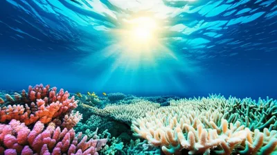 Illustration bleached - Image 1