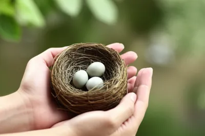 Illustration bails - Image 1