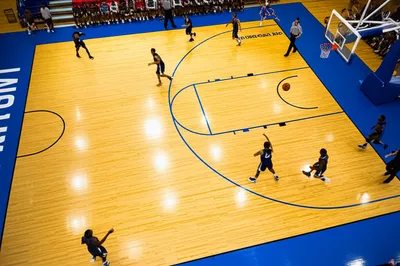 Illustration hardwoods - Image 1