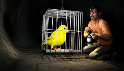 Illustration canary - Image 1