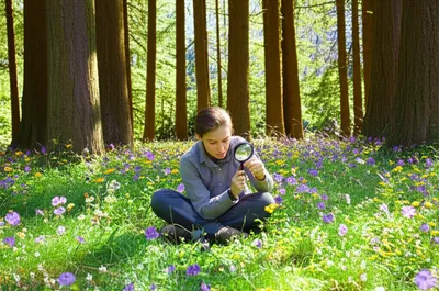 Illustration naturalize - Image 1