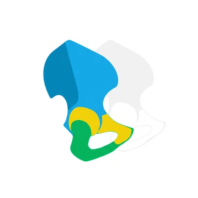 Illustration hipbone