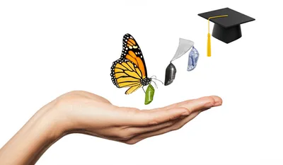 Illustration qualifying - Image 1