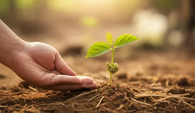 Illustration soothing - Image 1