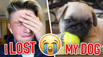 Illustration lose - Image 2