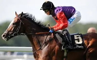 Illustration jockey - Image 2