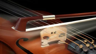 Illustration saccade - Image 1