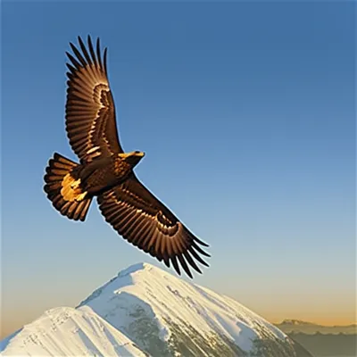 Illustration alt - Image 1