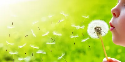 Illustration whiffle - Image 1