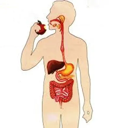 Illustration assimilation - Image 4