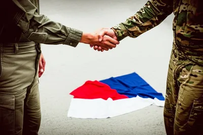 Illustration collaborate - Image 1