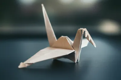 Illustration tearing - Image 1