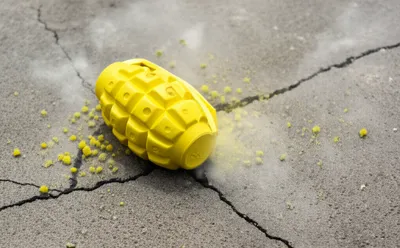 Illustration stingers - Image 1