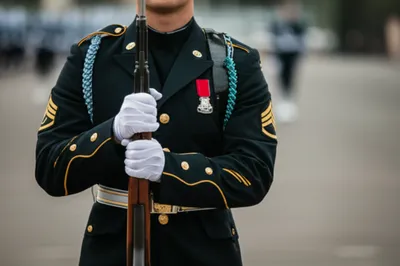 Illustration present - Image 1