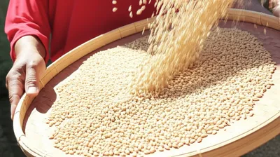 Illustration faltered - Image 1