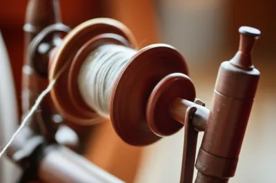 Illustration flys - Image 1