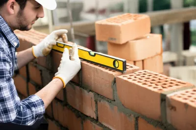 Illustration boned - Image 1