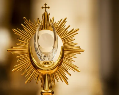 Illustration lunette - Image 1