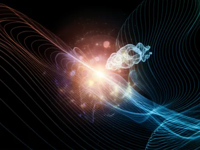 Illustration polynomial - Image 1