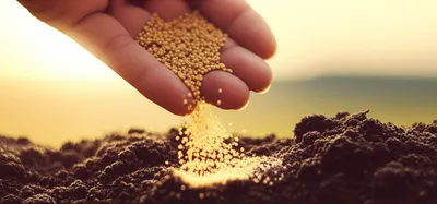 Illustration plant - Image 1