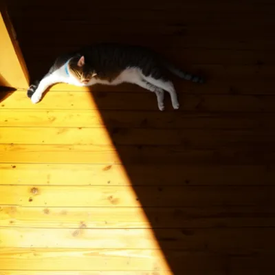 Illustration crept - Image 1