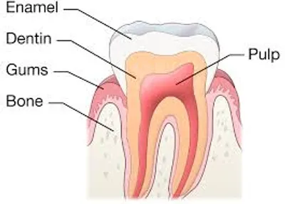 Illustration enamel - Image 2