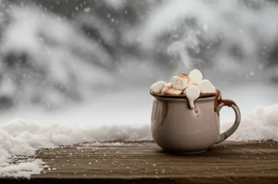 Illustration steamer - Image 1