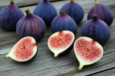 Illustration fig - Image 1