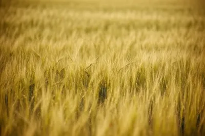 Illustration slashes - Image 1